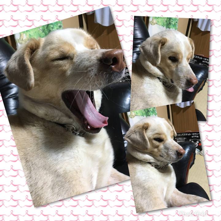 04d1cd0e 77b8 4740 931c 565f351f62a7 1520949992253