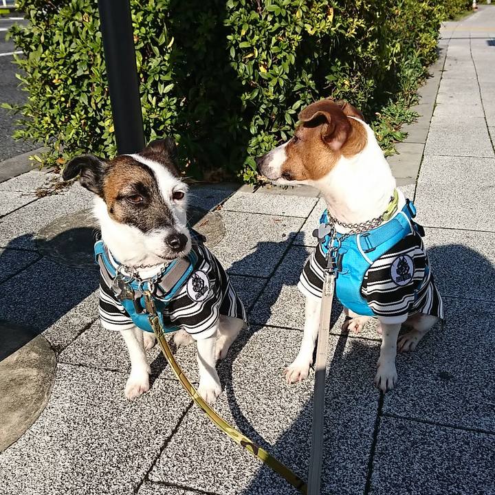 04d1d170 53cf 4691 b339 7644fefc729e 1580347438319