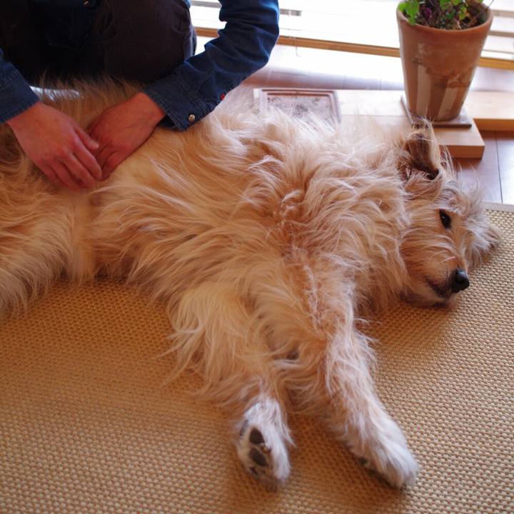 04d1da11 c19f 4a0f b802 18ae4c3d7010 1554044112832