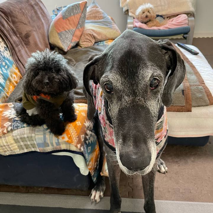 04d206a5 6ce5 4817 bfc2 4a8da68ca70b 1641509324012