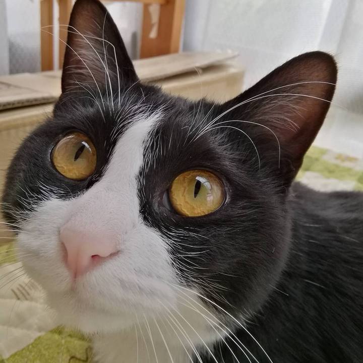 04d23af7 4b9d 4995 a5d7 4c687b9ca32c 1557129095152