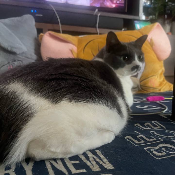 04d26c1d a848 4bfe a6c0 17f34e4bb480 1750923391568