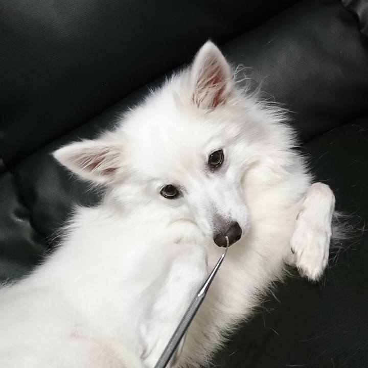 04d2816c 4fe7 4037 ac9f 0569a6089cec 1534765698832