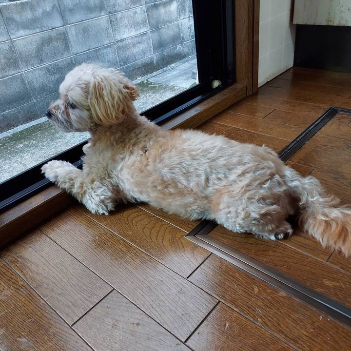 04d2844f 19fb 4cde 9953 1b388fe76342 1727418781518