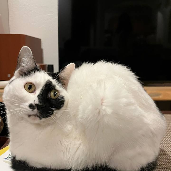 04d2a4f1 6a11 4ca1 982c 072ca9360f70 1763136775018