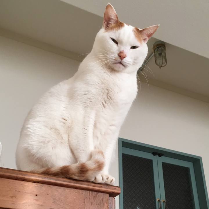 04d2bb22 d2b0 425c beec a7b660567365 1519341059361