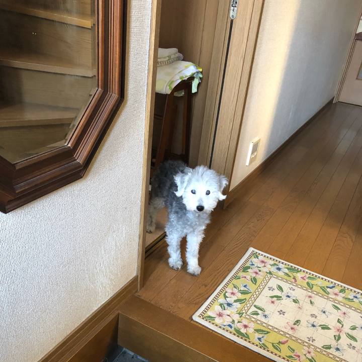 04d2c5d7 21d4 486d 9512 db10edb2af06 1664237196566