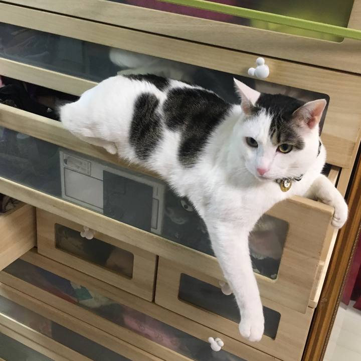 04d2de7b 869c 4067 bf86 71a8cf039a24 1517110448913