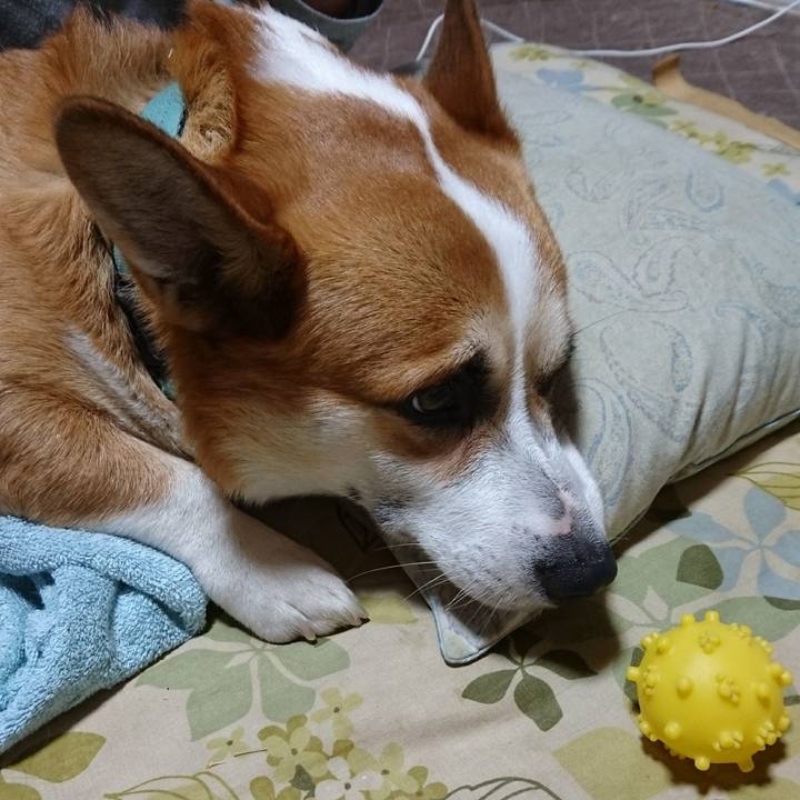 04d2e9ea 15ea 4cac a2ab 1ce470626c38 1656934544593