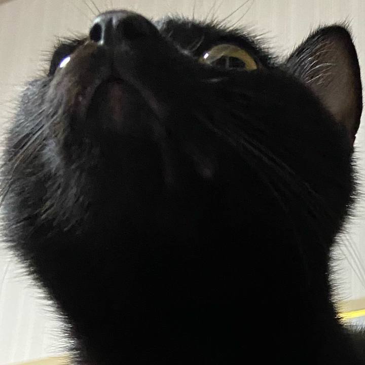 04d2ebb7 3f55 493c 8a1f c90166dbdb27 1635592646106