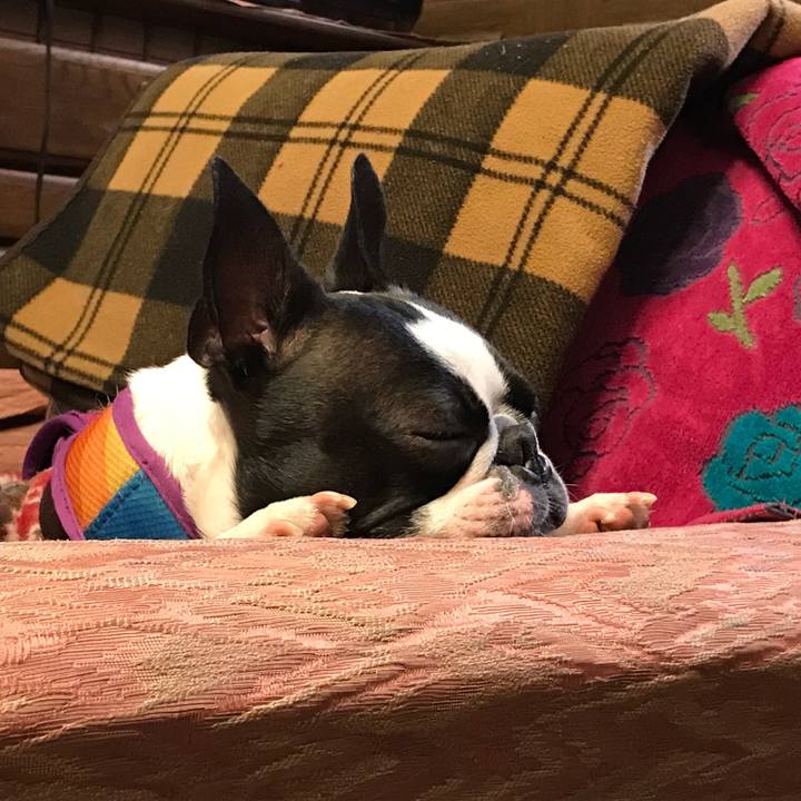 04d2f6b9 f1e8 4efd bc55 42d062d23702 1637067587659