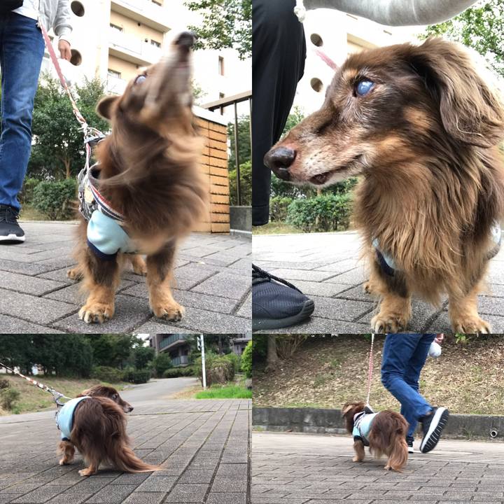 04d33541 3602 4336 8f59 88f89486ce80 1540341614381