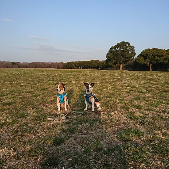 04d33a2e 2fc9 4385 88fe 4e89cfa5b976 1551429204128