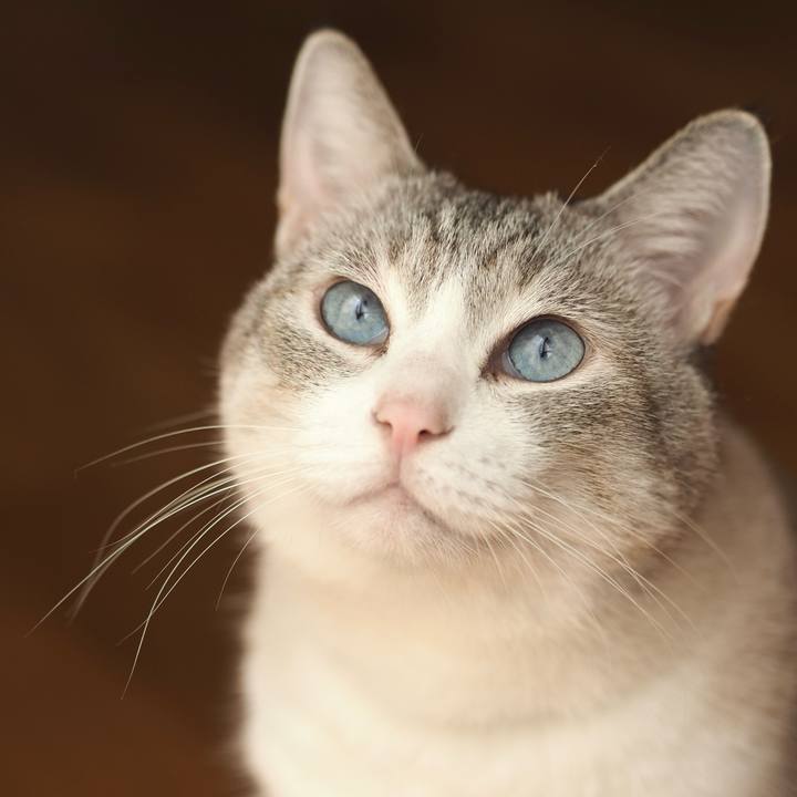 04d34778 1348 435c b4b3 389b79f22185 1724044461984