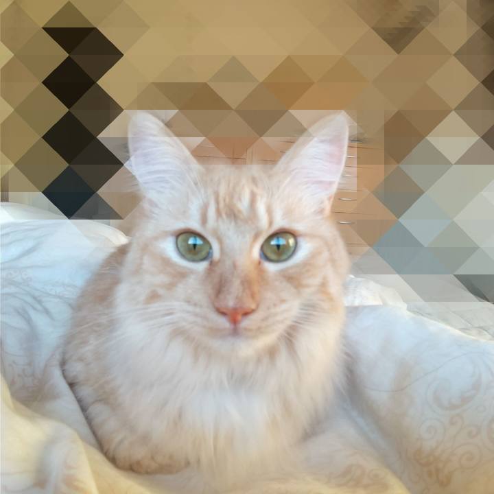 04d366a5 c55b 4ad4 a073 304cae98796c 1626470704549