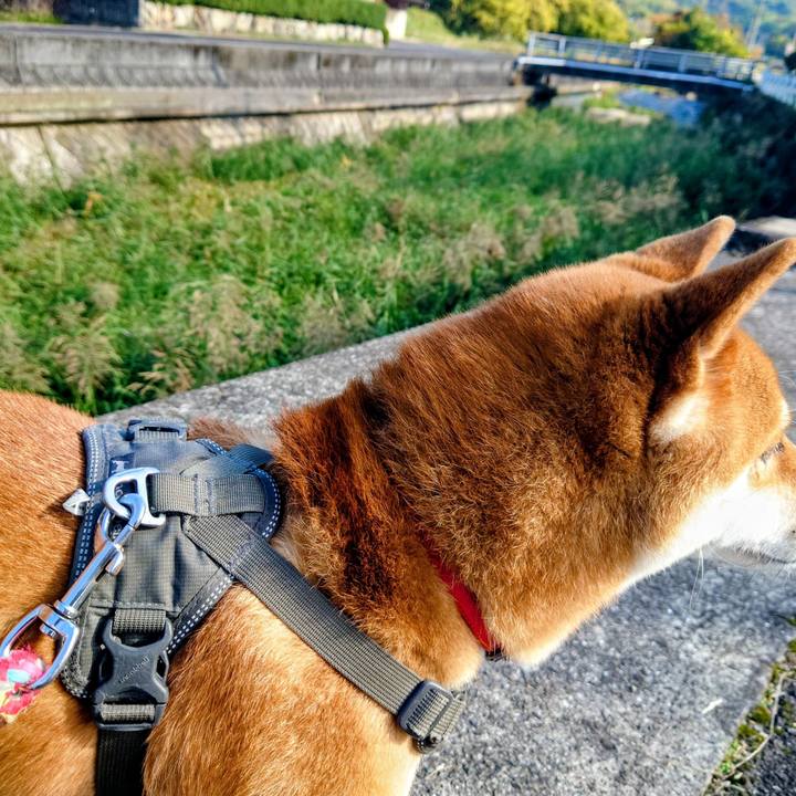 04d3878e 80c3 43ad 88bb a17b66b73e8a 1763966388324