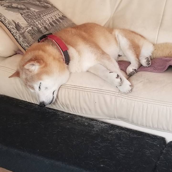 04d391c9 72f6 4660 bd04 787c52f2f2d2 1752807225516