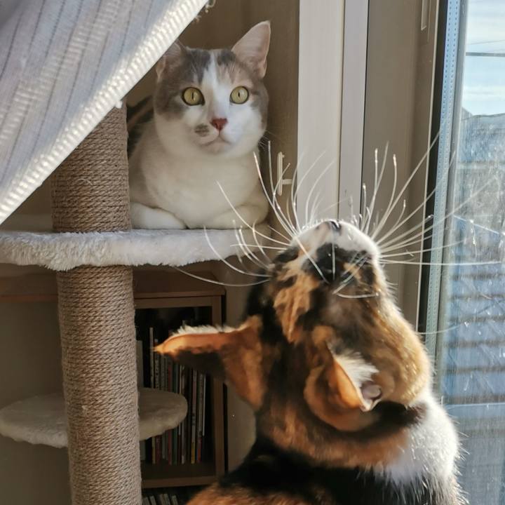 04d3ac61 c8ee 4bfa 97d0 80bae3a26742 1638697353845