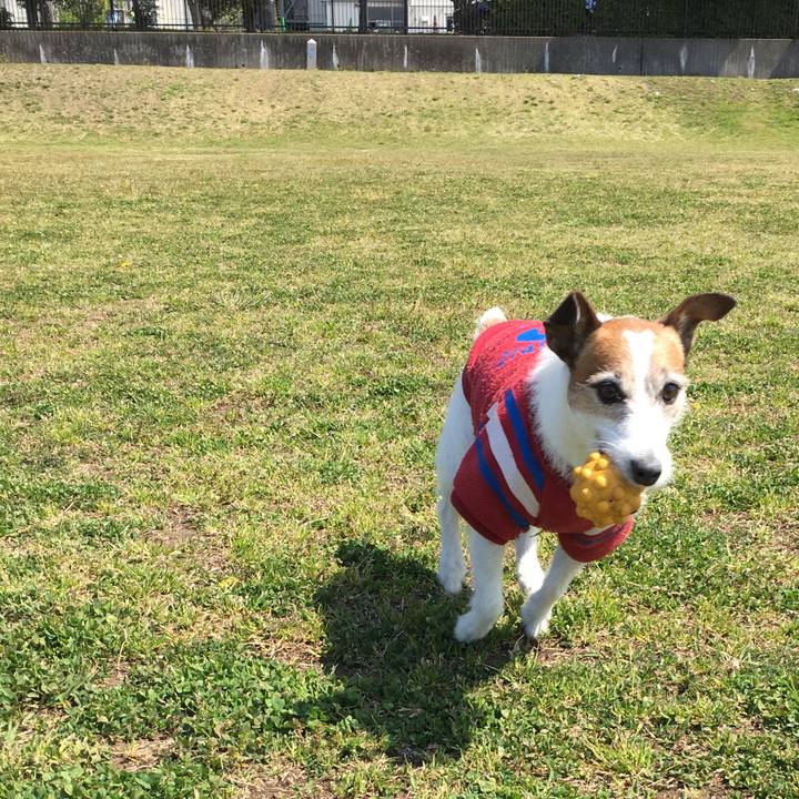 04d3f207 f920 4606 9424 81f156f18b67 1586650879090