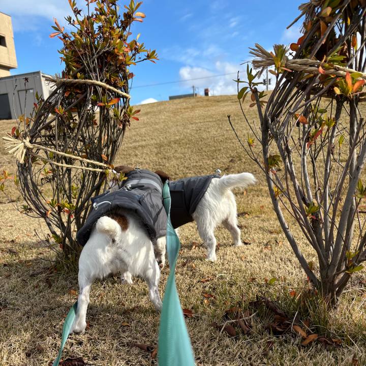 04d3f398 a2d4 4af4 81eb eb29e957a056 1765509624452