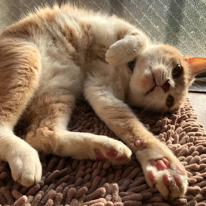 04d3f3a0 817b 4f93 b7c8 9b5497f0a3d8 1509492015507