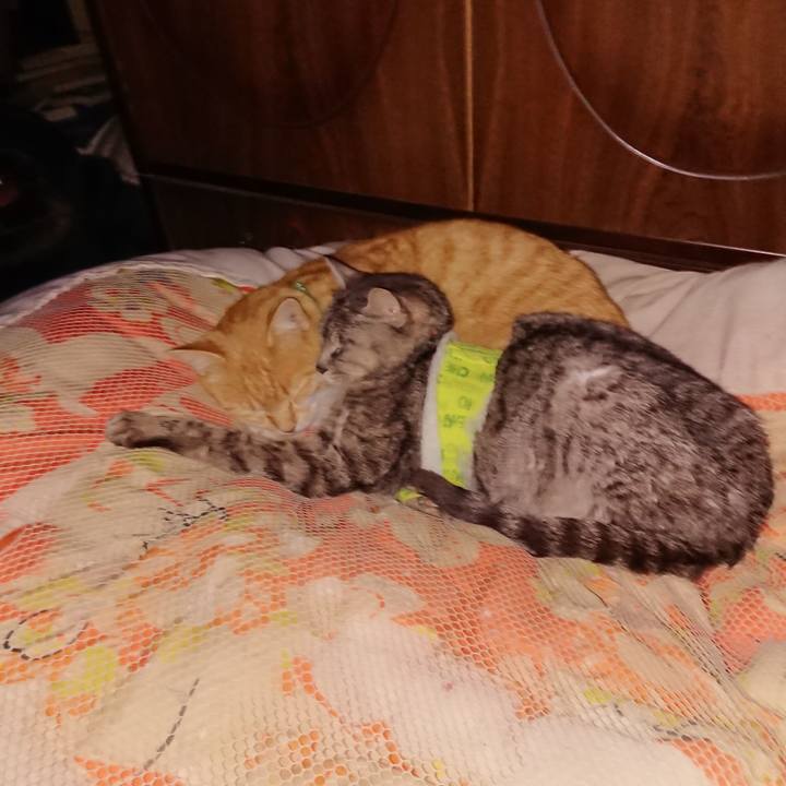 04d408b7 af75 4b8b a99c 2ff6594736da 1586445981489