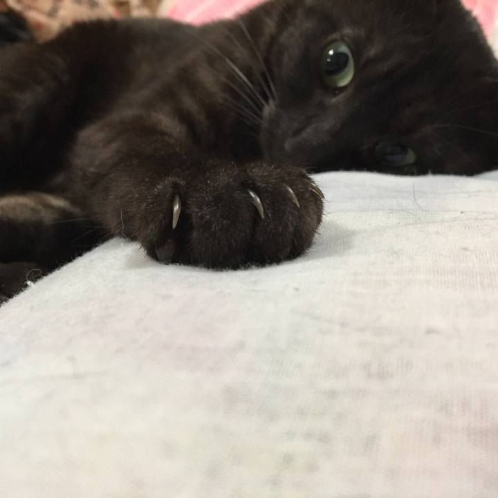 04d4406c 8a45 494c b068 1e5f477c2b59 1527770659062