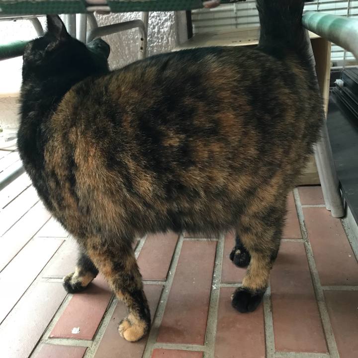 04d49d8a cabd 44ae a97f 67bc344c42c5 1511766985568