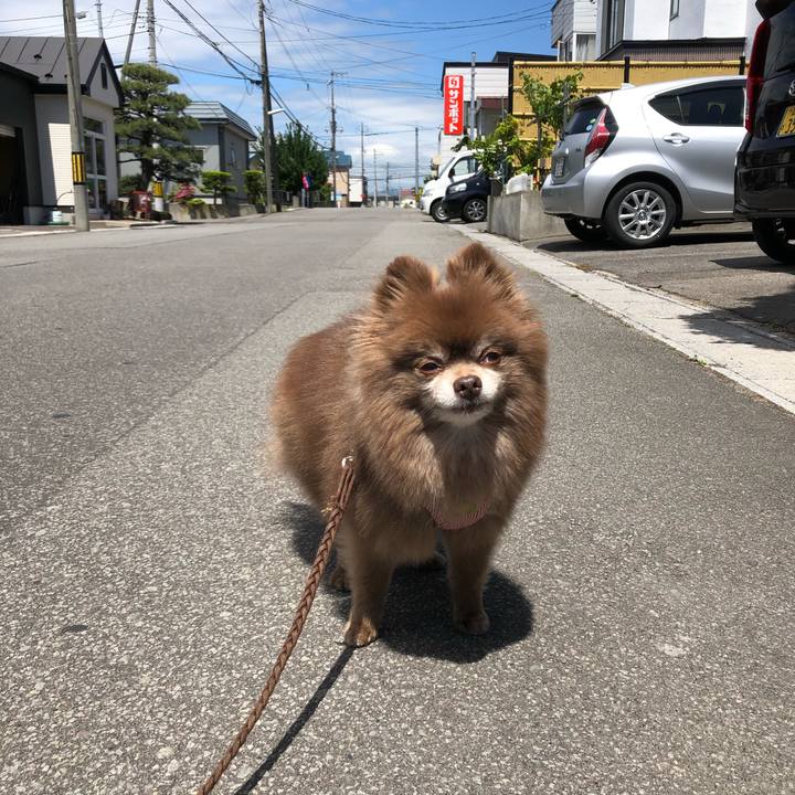 04d4bd97 8f2e 4bdc bcc9 235d9e00232e 1622518581386