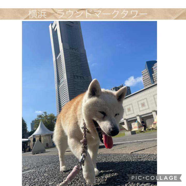 04d4f4ab 2619 4b10 9ded c7e7f0e7f7db 1757283287722