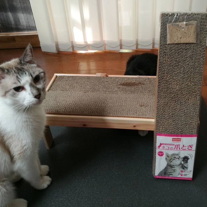 04d52054 9089 4889 adcd dbab3cccff11 1535325278771