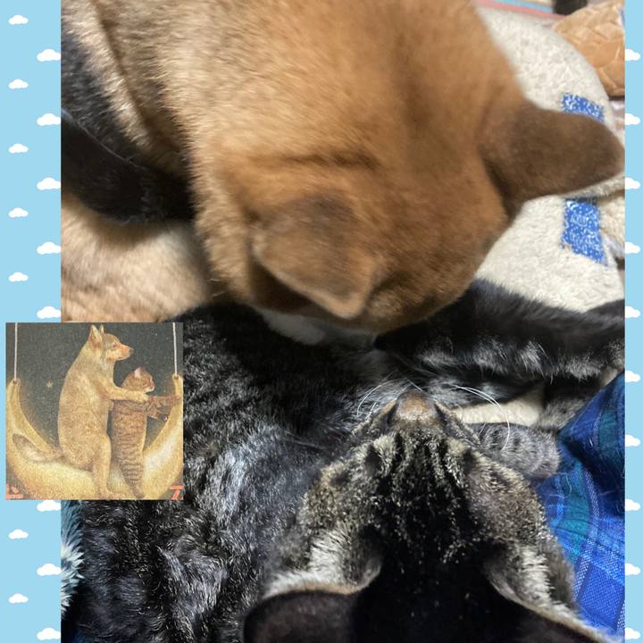 04d52a09 b41b 4cc4 a0ee 7ed0a7831226 1644101016867