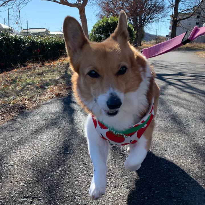 04d5492b 538a 44ad 9bab 4c72d734b23c 1704336511152