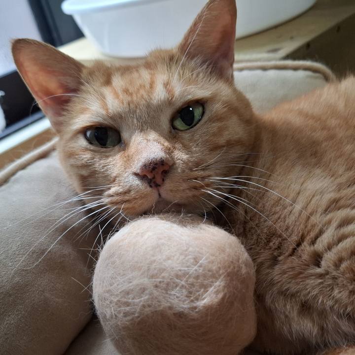 04d54d8a 2046 4973 8596 7e226c2648e0 1758342277656