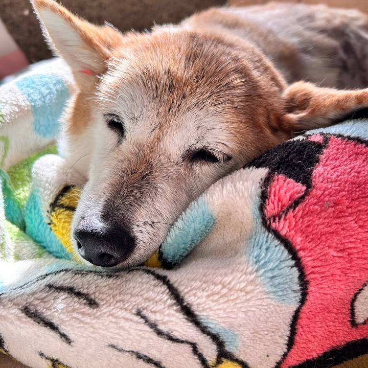 04d55d2f 8672 4ea1 bfe0 0324d65a8ec8 1762226675628