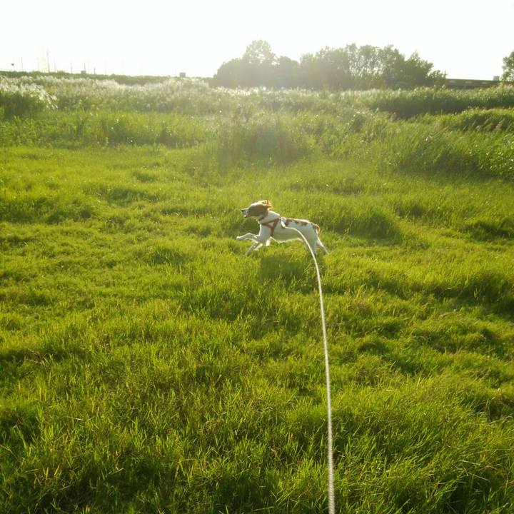 04d56cd4 b75f 4f42 8305 25f9994936a3 1538393239751