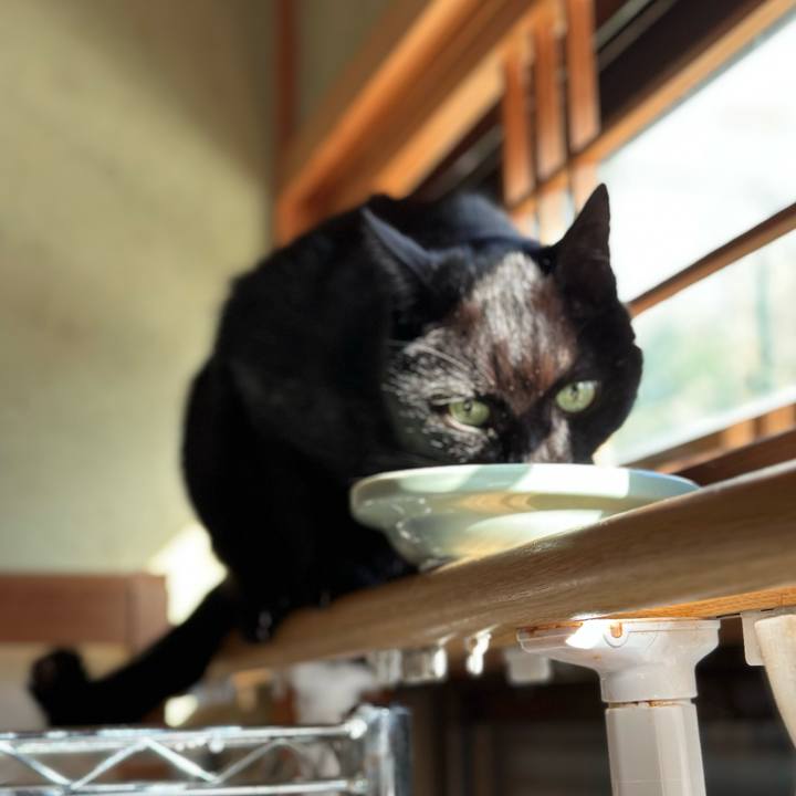 04d56e35 242b 4f44 9493 a468c76bf109 1669512366842