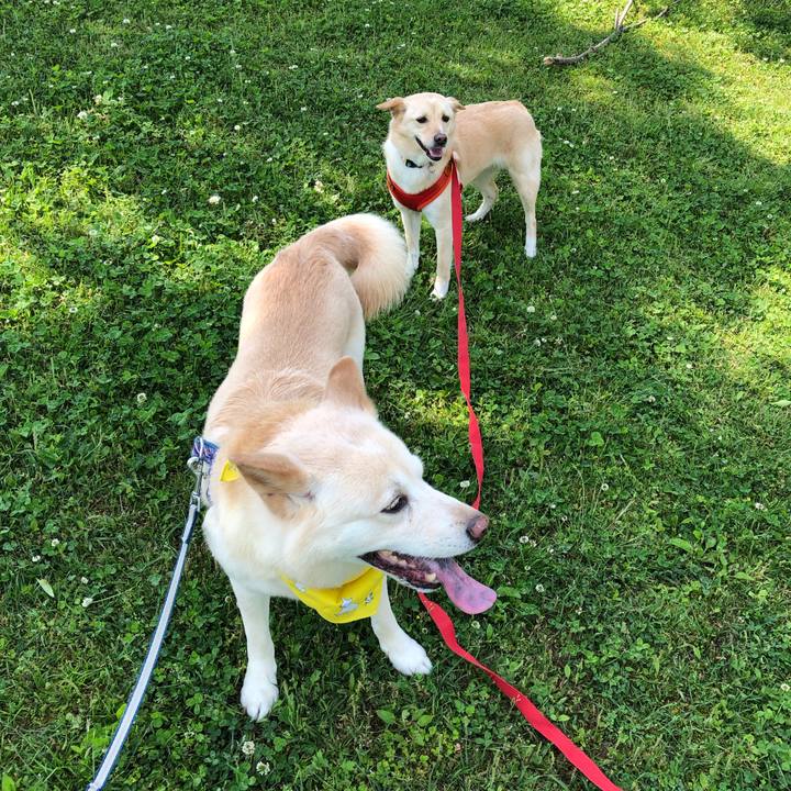 04d5ab67 bd3d 44a3 8119 a8991c4191ba 1556959640647