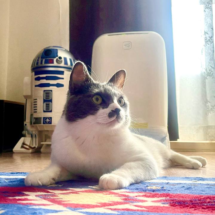 04d5b602 b983 48fb 9e85 3ed24d6c0faa 1628228436659