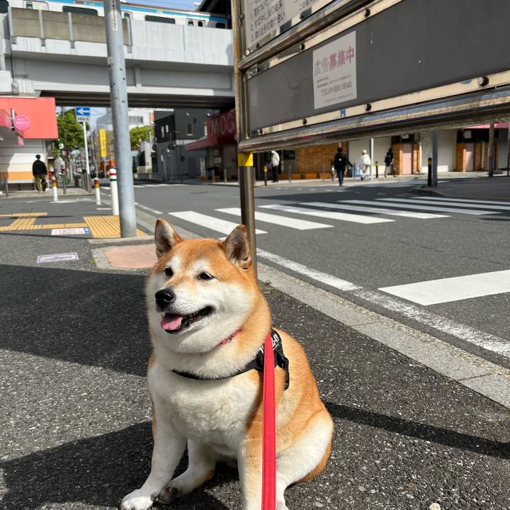 04d5ceb9 606f 4884 b236 7236409b290f 1652329041265