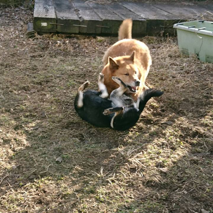 04d5e2a2 e26e 40b1 ae67 3453a219ff26 1550387611723