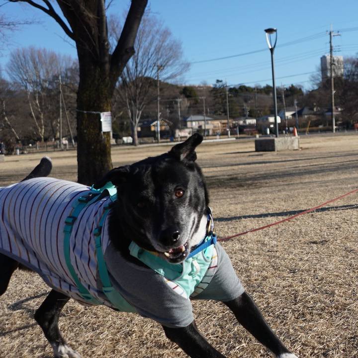 04d6399f 8d20 4545 953d 241aa7996229 1769302390483