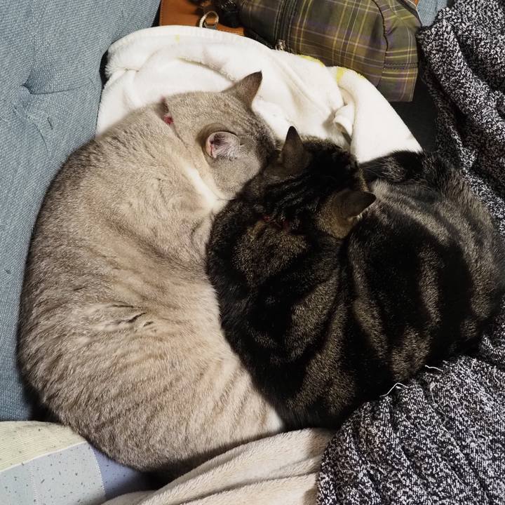 04d644e4 4d98 4c87 83f7 be0bd548c490 1641169959507