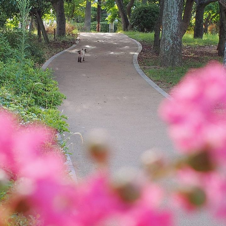 04d64622 d391 432f 9056 051032804f35 1534030161140