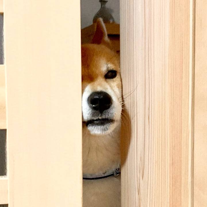 04d67fd3 3fa4 4368 a5b4 1ca34e300269 1679618298044