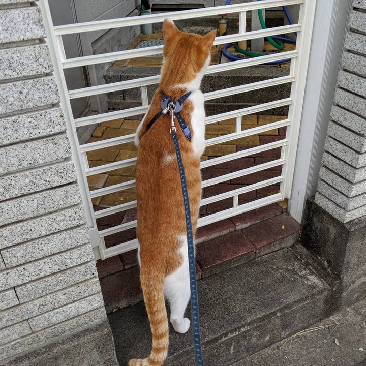 04d6803e b39c 4a63 8923 059b10543d31 1566779849551