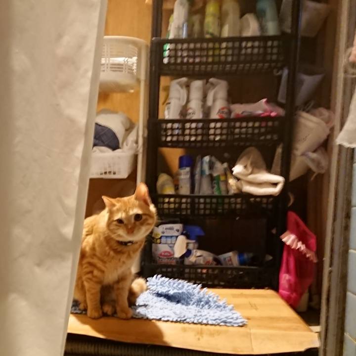 04d6a814 5814 4497 982b 0a05145f69a9 1641985334951