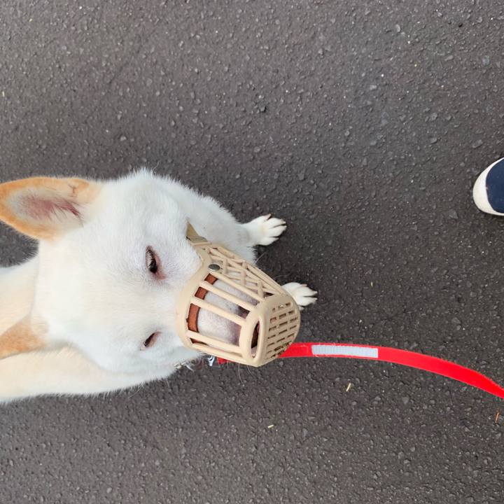 04d6e1ac 02ae 41d4 b84f 86ff722d9221 1564619049164