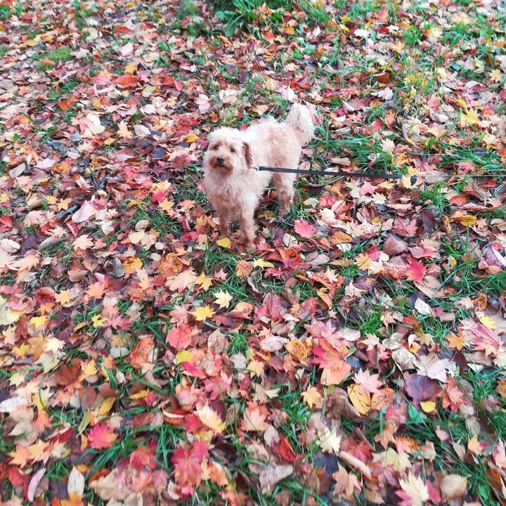 04d6ebc5 5f52 4c92 ba54 ed5b3f315cce 1540685415667