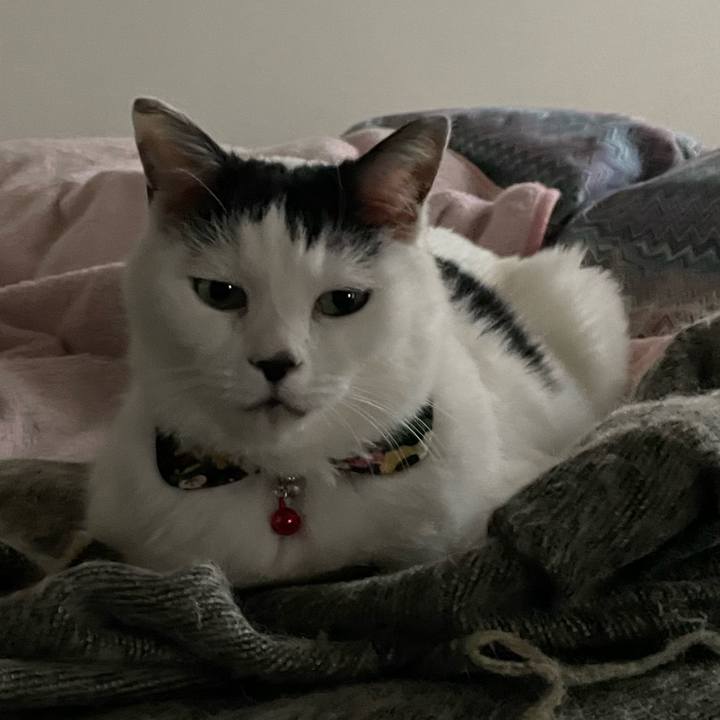 04d719cc ae7f 470c 9fed decb0af16105 1639712932755